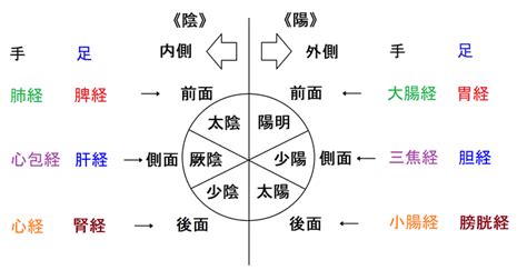 三陰三陽 日本|傷寒論の病位に就て